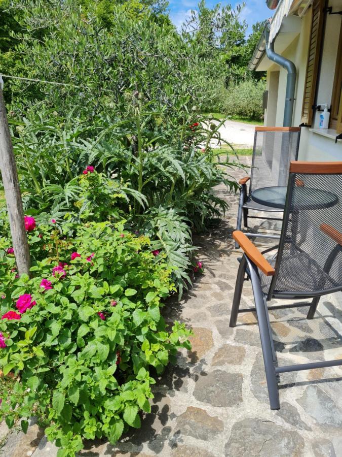 Apartma Istra Zora Sečovlje Esterno foto