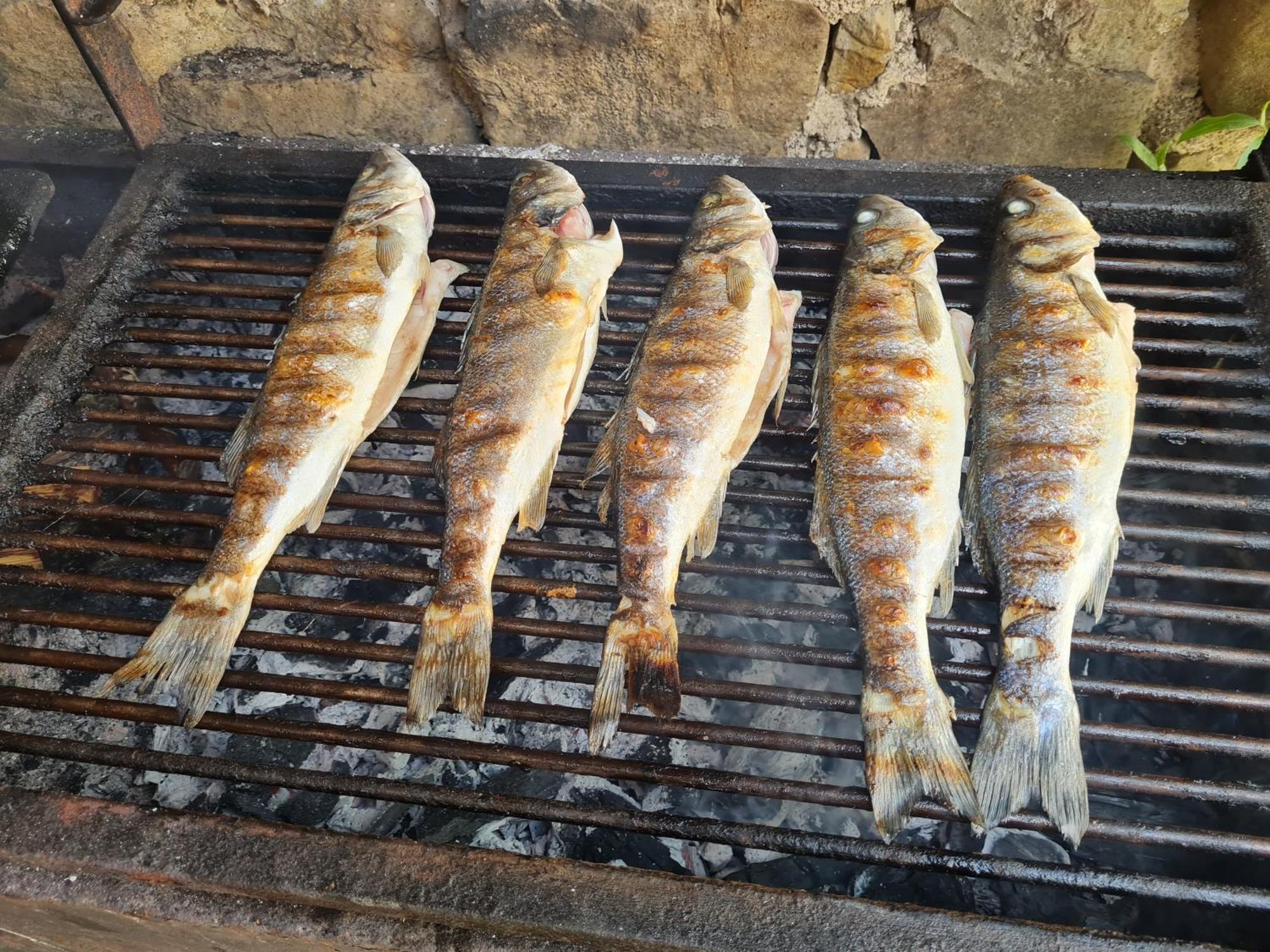 Apartma Istra Zora Sečovlje Esterno foto