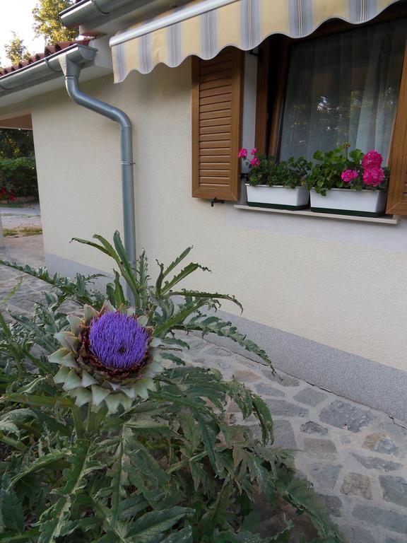 Apartma Istra Zora Sečovlje Esterno foto