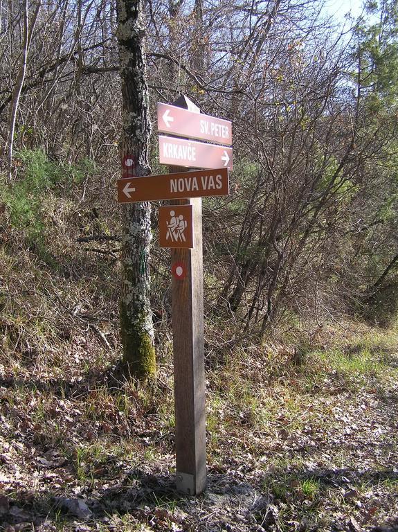 Apartma Istra Zora Sečovlje Camera foto