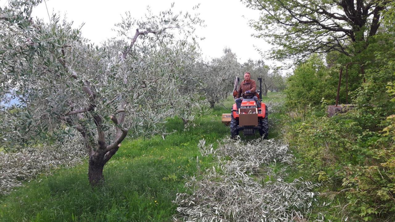 Apartma Istra Zora Sečovlje Esterno foto