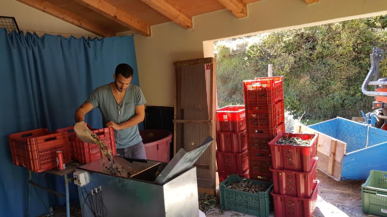 Apartma Istra Zora Sečovlje Esterno foto