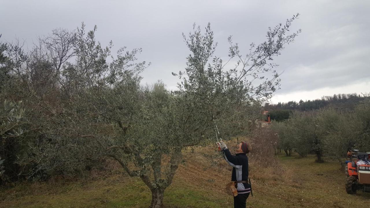 Apartma Istra Zora Sečovlje Esterno foto